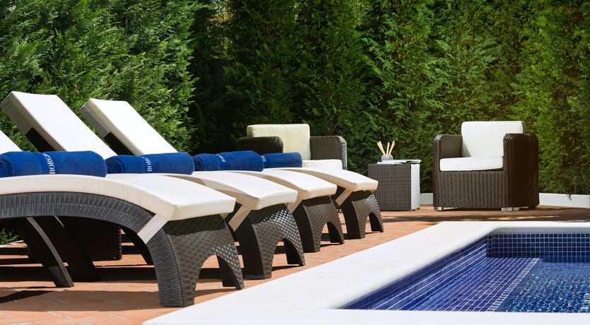 Photo of The Anemone Garden