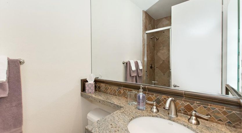 Photo of A Palm Tree View