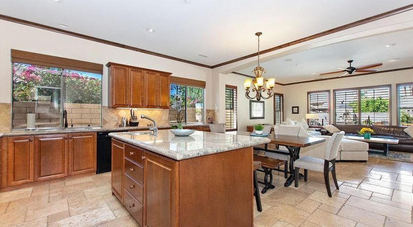 Photo of A Palm Tree View