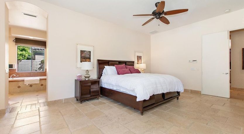 Photo of A Palm Tree View