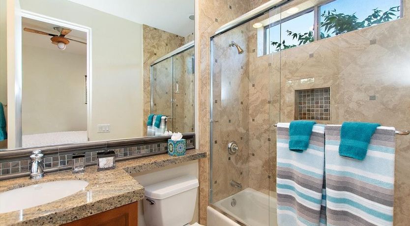 Photo of A Palm Tree View