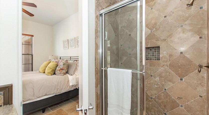 Photo of A Palm Tree View