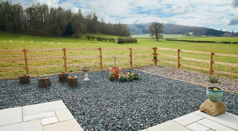 Photo of Your Lucky Stars