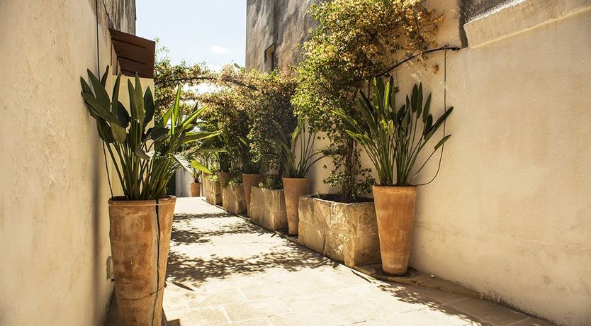 Photo of Majestic Haven