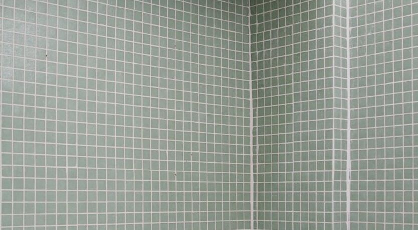 Photo of Majestic Haven