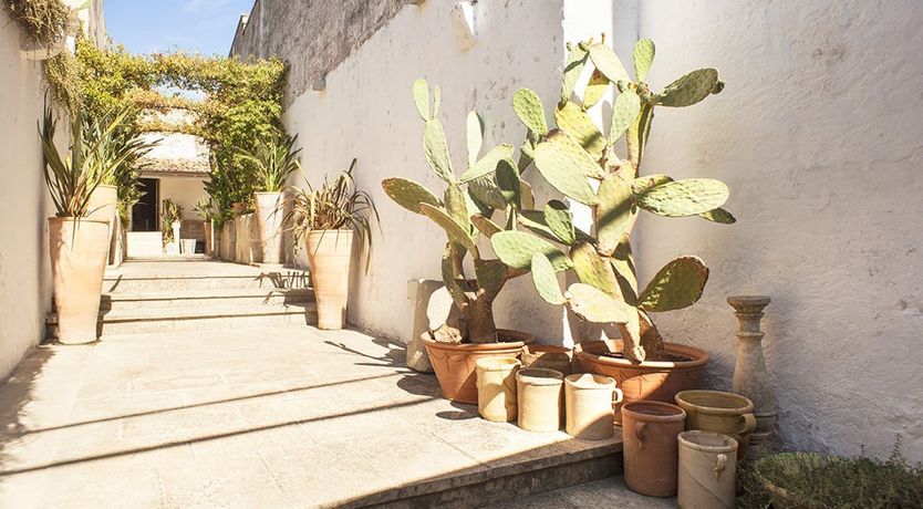 Photo of Majestic Haven