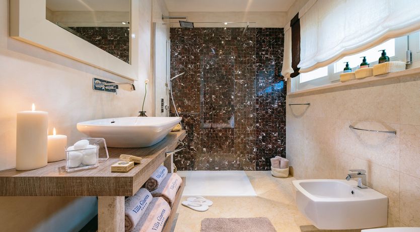 Photo of Palm Trees & Pines