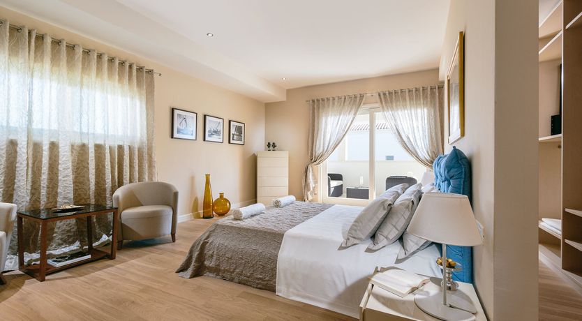 Photo of Palm Trees & Pines