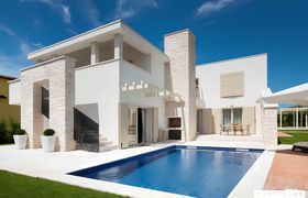 Photo of palm-trees-pines