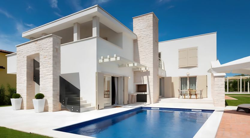 Photo of Palm Trees & Pines