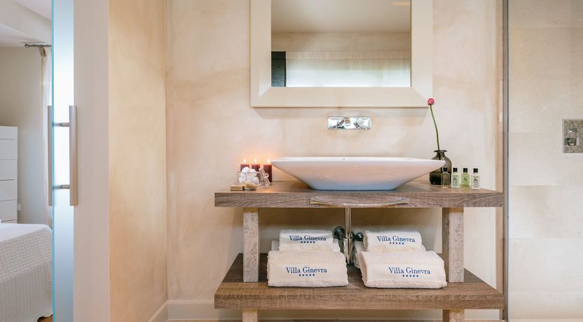 Photo of Palm Trees & Pines