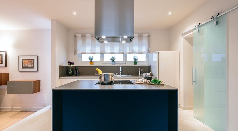 Photo of Palm Trees & Pines