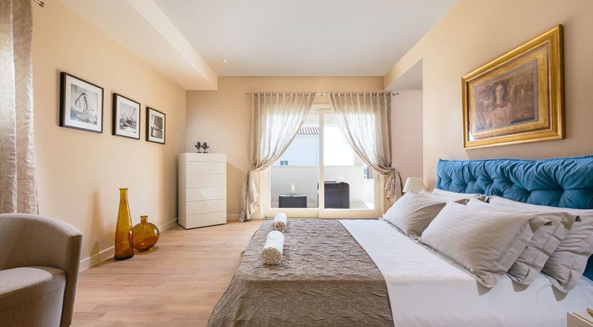 Photo of Palm Trees & Pines