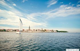 Photo of palm-trees-pines