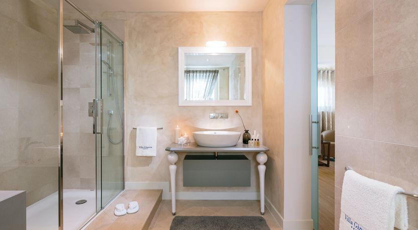 Photo of Palm Trees & Pines