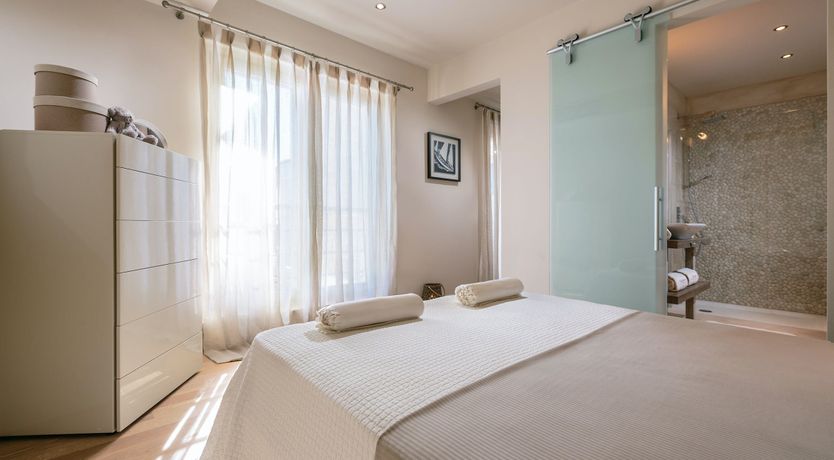 Photo of Palm Trees & Pines