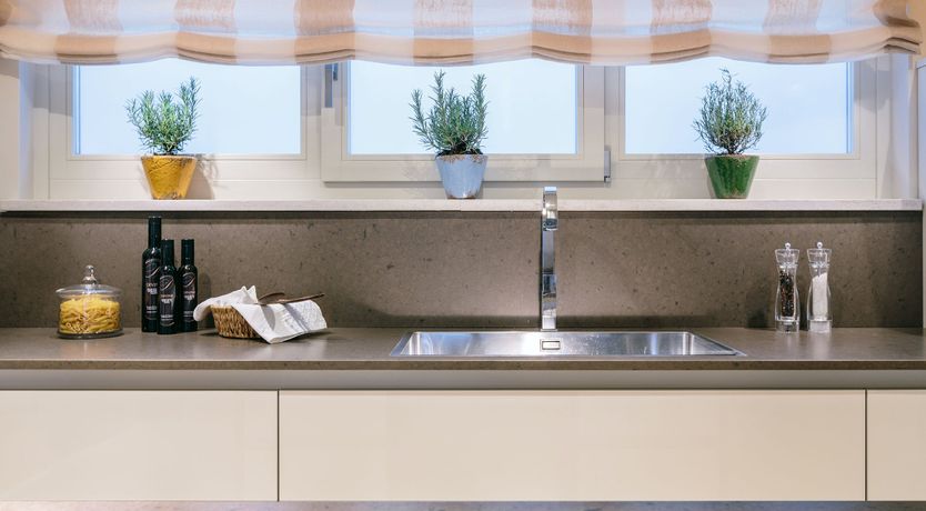 Photo of Palm Trees & Pines