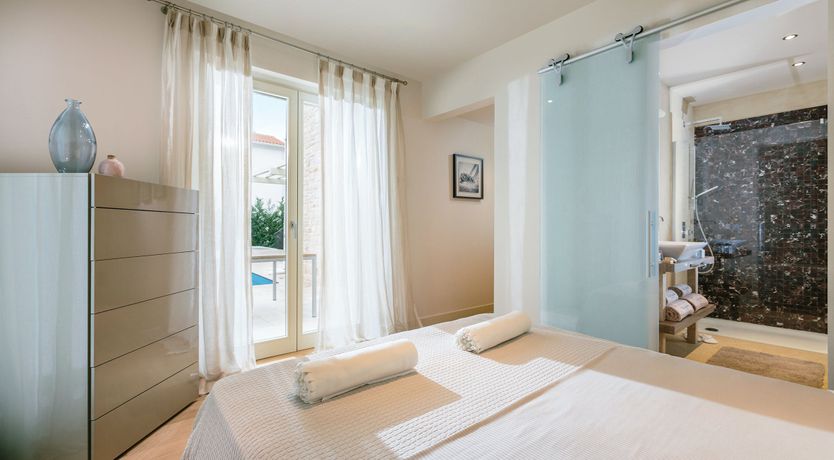 Photo of Palm Trees & Pines