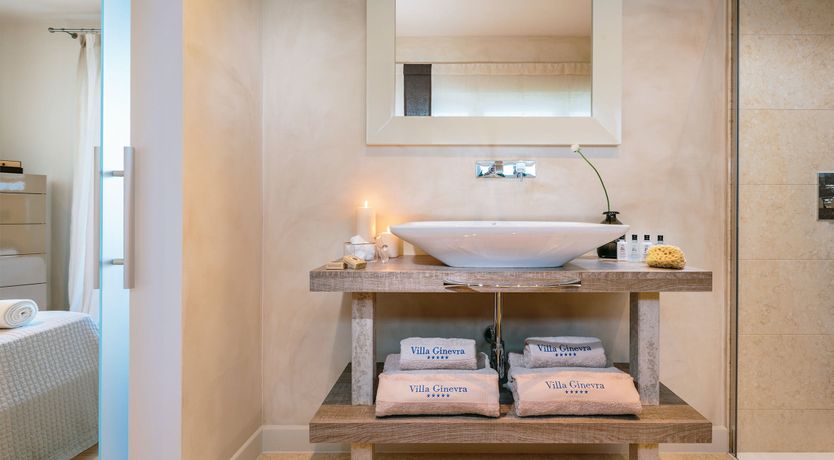 Photo of Palm Trees & Pines