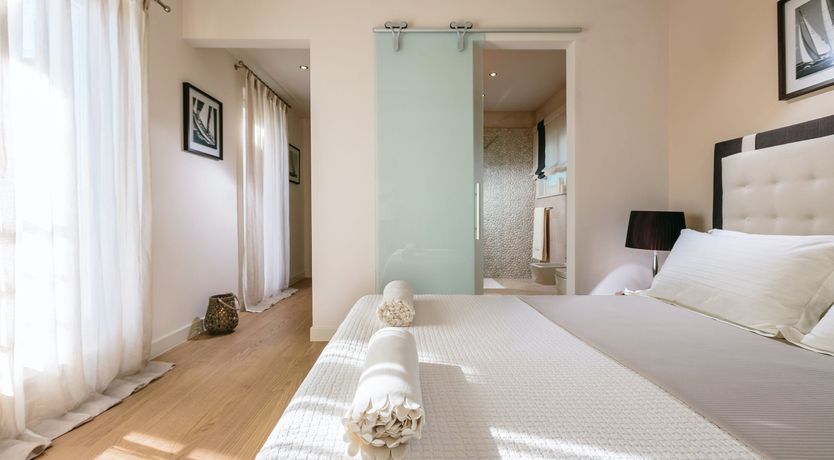 Photo of Palm Trees & Pines