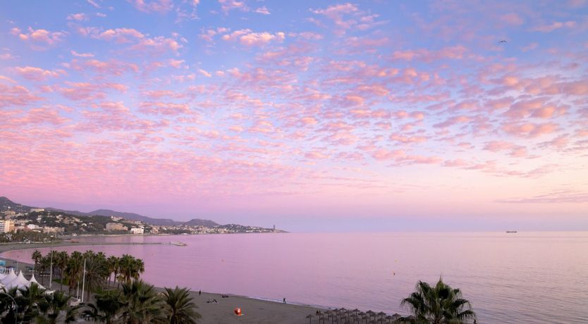 Photo of Sweet Moonlight