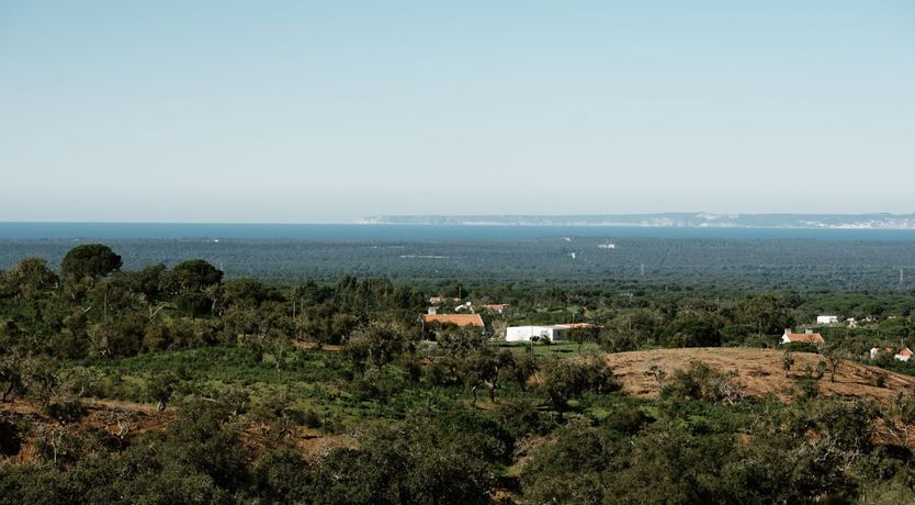 Photo of Yellow Glaze