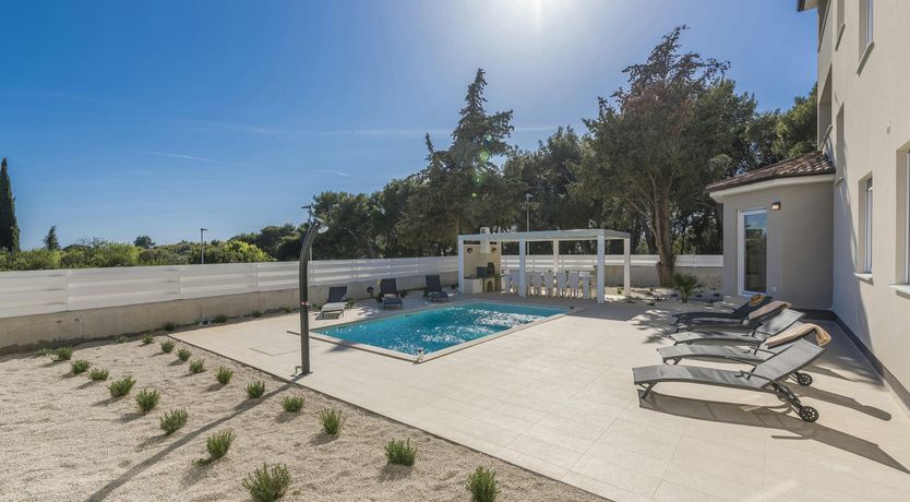 Photo of A Medley of Sunshine