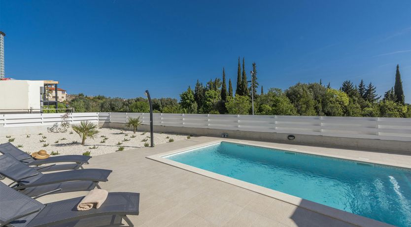 Photo of A Medley of Sunshine