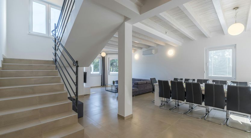 Photo of A Medley of Sunshine