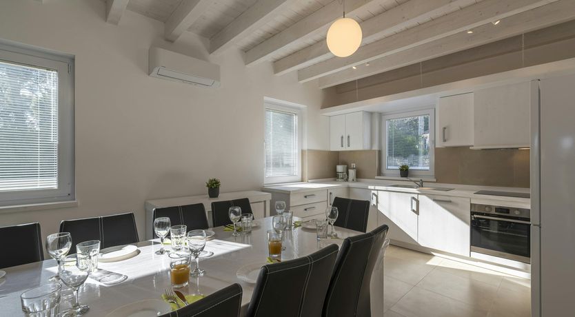 Photo of A Medley of Sunshine