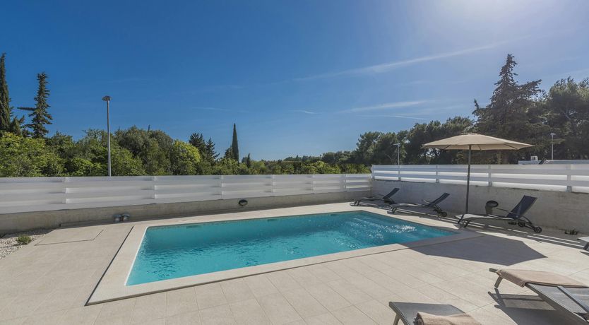 Photo of A Medley of Sunshine