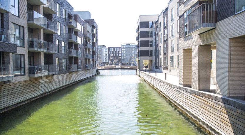 Photo of The Melting Snow