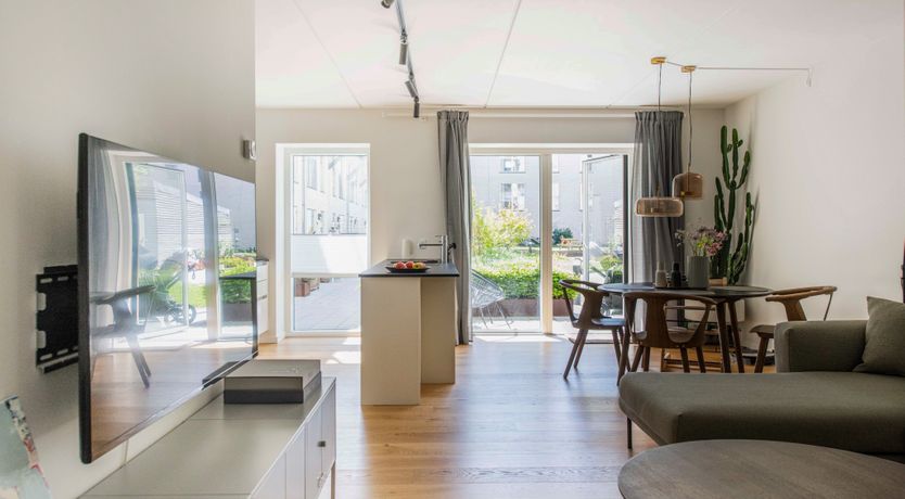 Photo of The Melting Snow