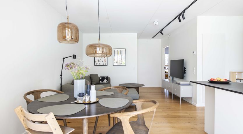 Photo of The Melting Snow