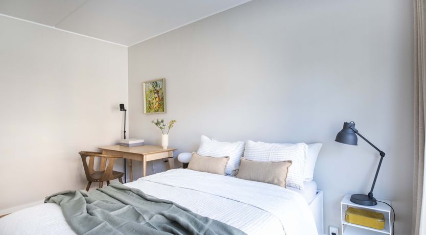 Photo of The Melting Snow