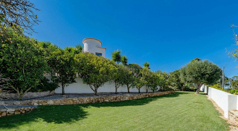 Photo of Ocean Bloom