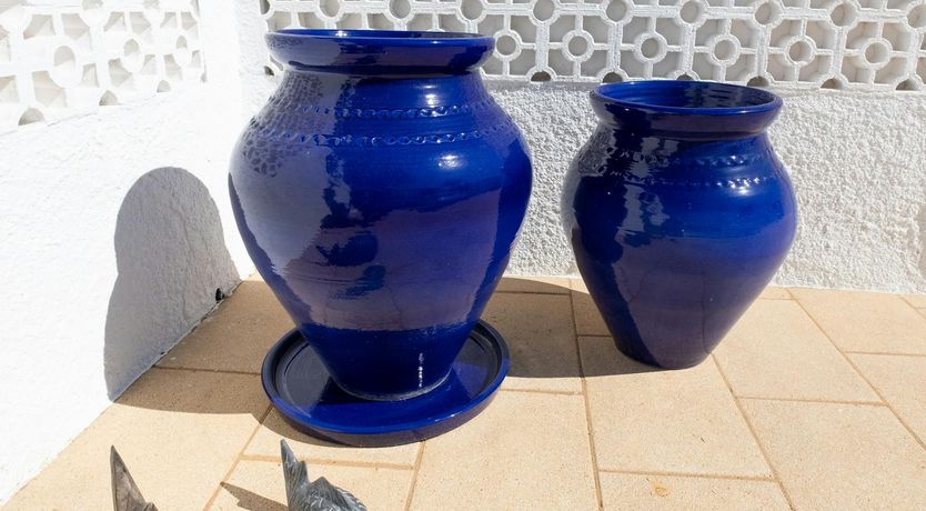 Photo of Ocean Bloom