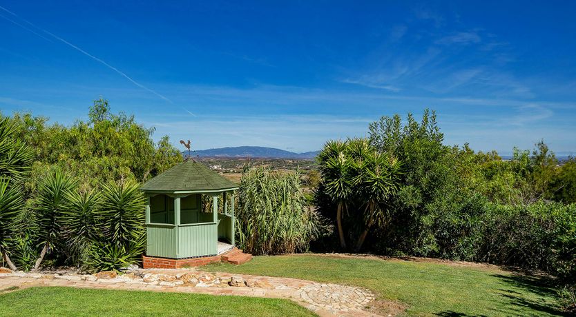 Photo of Ocean Bloom