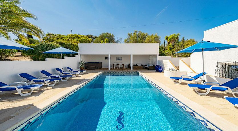 Photo of Ocean Bloom