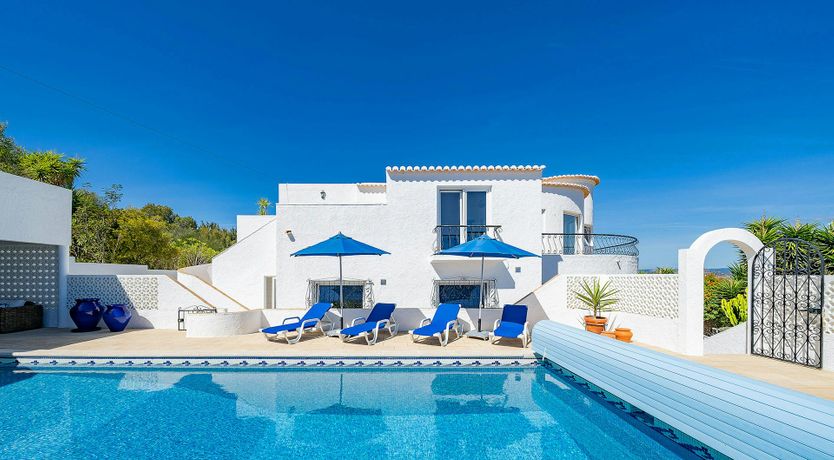 Photo of Ocean Bloom