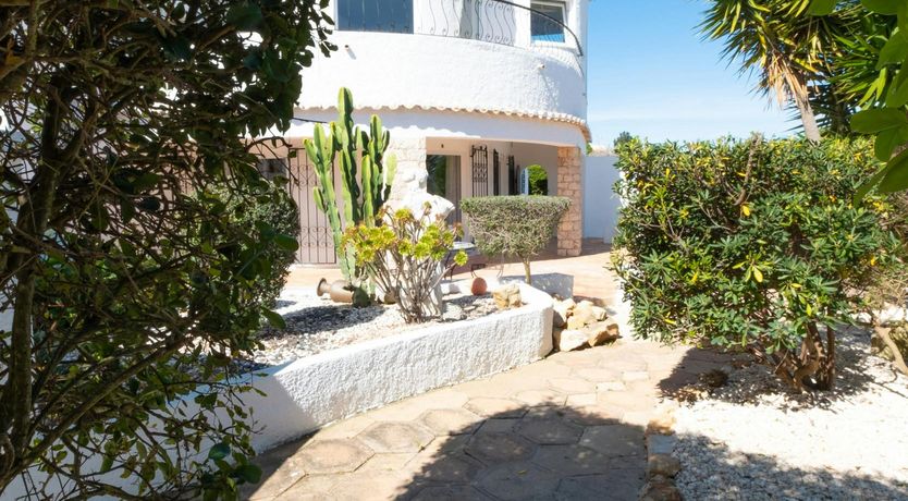 Photo of Ocean Bloom