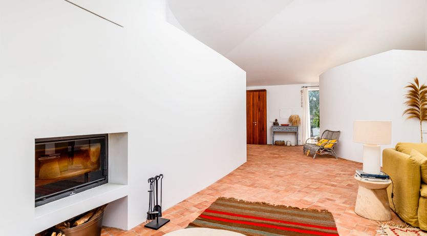 Photo of Lavender Moon