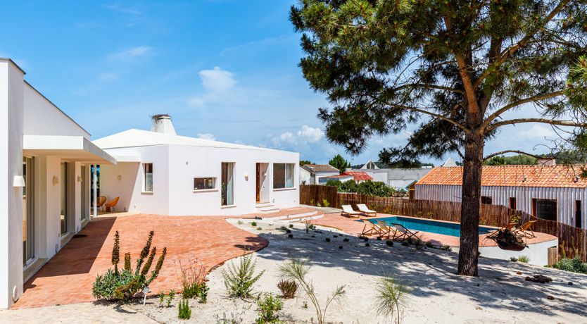 Photo of Lavender Moon