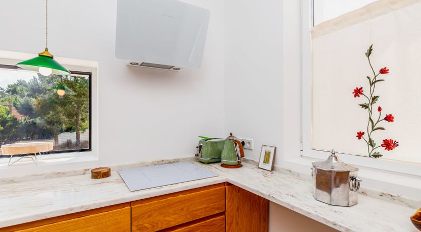 Photo of Lavender Moon