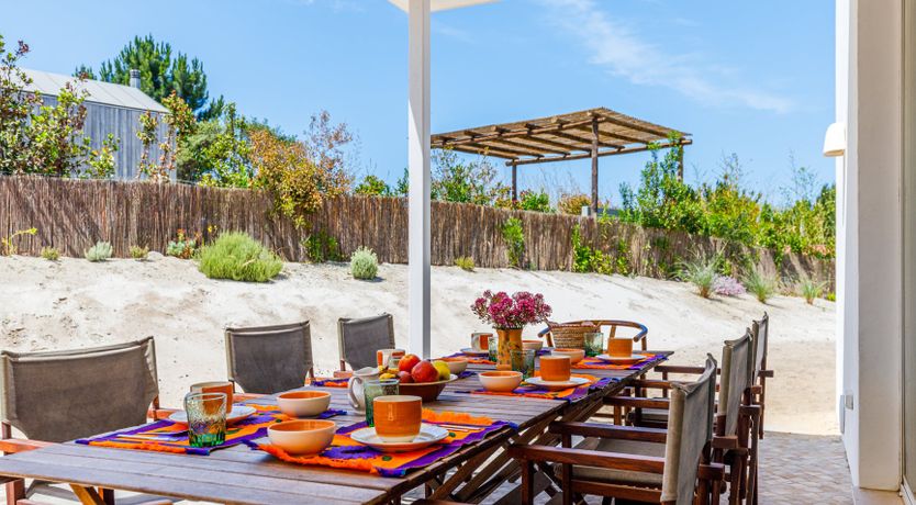 Photo of Lavender Moon