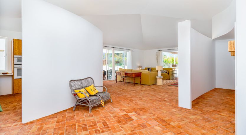 Photo of Lavender Moon