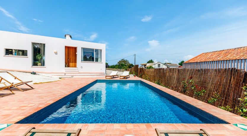 Photo of Lavender Moon