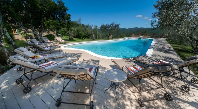 Photo of The Daisy Cutter