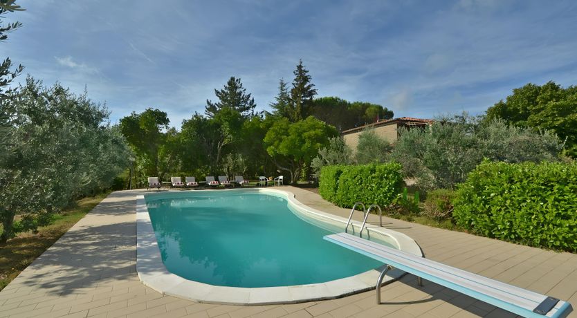 Photo of The Daisy Cutter