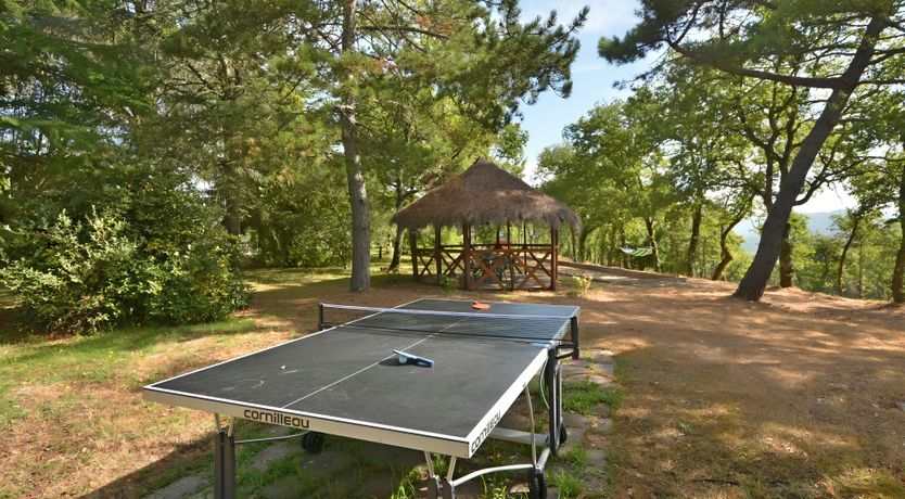 Photo of The Daisy Cutter